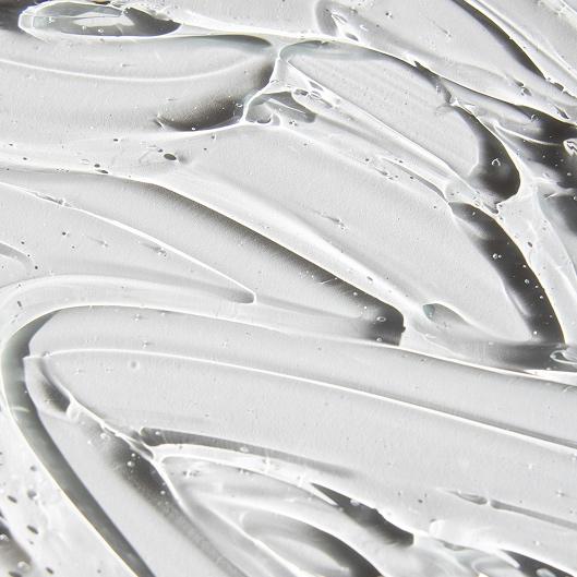 VIP Maintenance Club- Classics